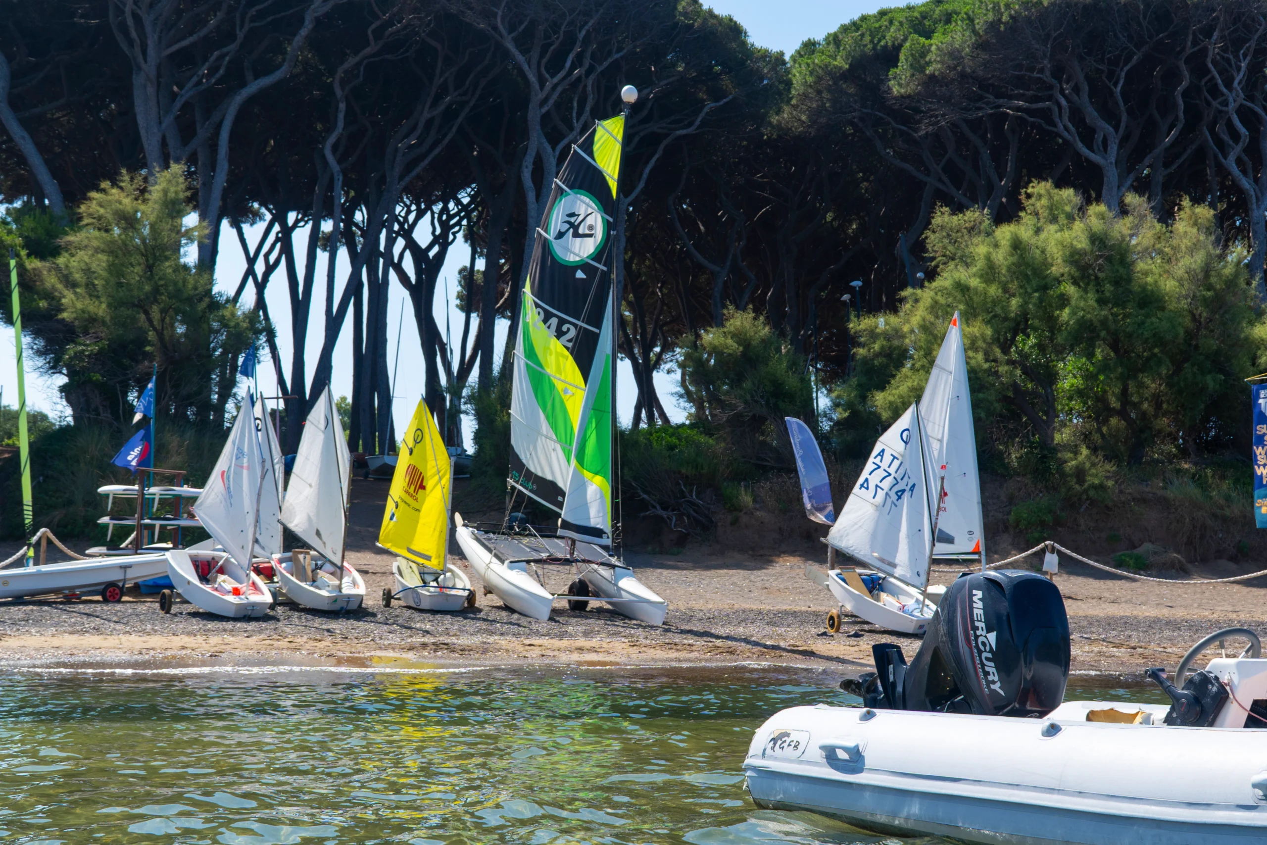 TNT SURF SCHOOL BLU BARATTI GOLFO BARATTI